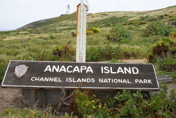 Channel Islands National Park Visitors Guide