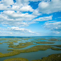 Aerial View of Ten Thousand Islands in Everglades National Park