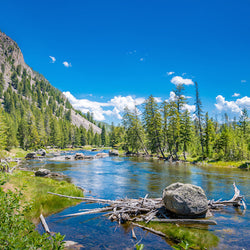 Madison River West Gate viewpoint in Yellowstone National Park, Wyoming USA