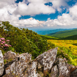View from Stony Man Mountain in Shenandoah National Park Virginia