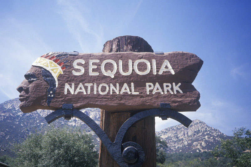 Sequoia National Park Visitors Guide