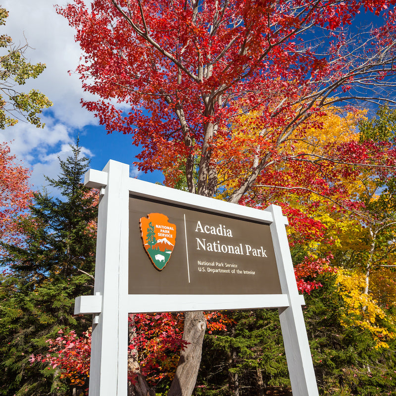 Acadia National Park sign with beautiful fall color tree leaves in background