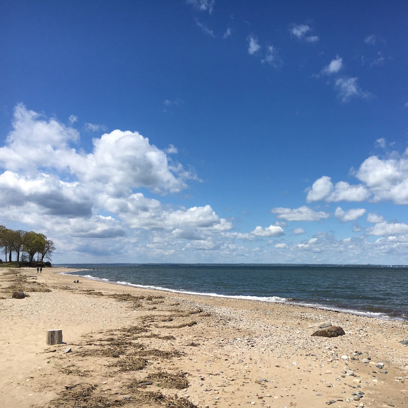 Beach shore alongside Long Island Sound on sunny day in Caumsett State Park