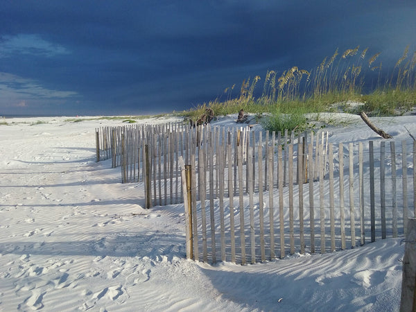 Beautiful White Sand Beach With Dunes on Cloudy Day Saint Augustine Beach Anastasia State Park Florida