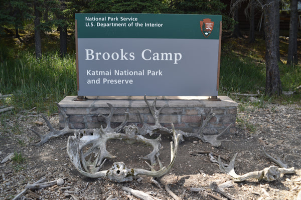 Entrance Sign to Katmai National Park Coastal Brown Bear Habitat Viewing During Salmon Runs