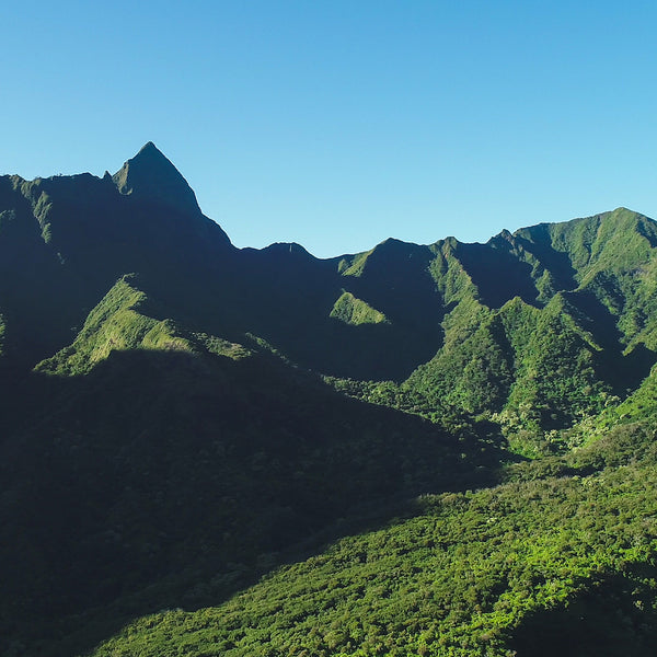Landscape view of Pu'u Kukui Peak and surrounding mountains in Iao Valley State Park
