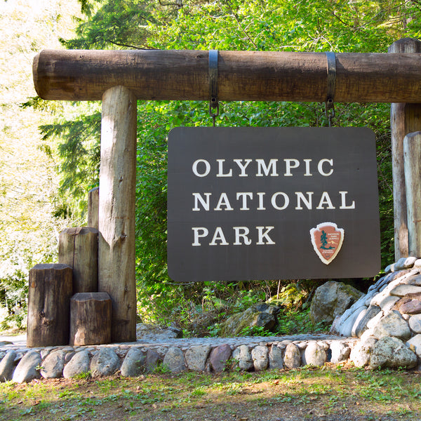 Olympic National Park Sign Near Lake Cushman