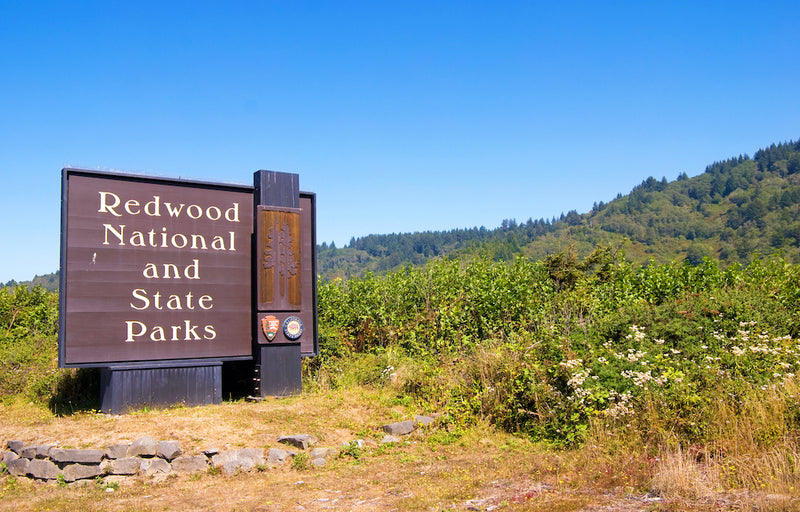 Redwood National and State Parks Sign Near 101 at Redwood National and State Parks California