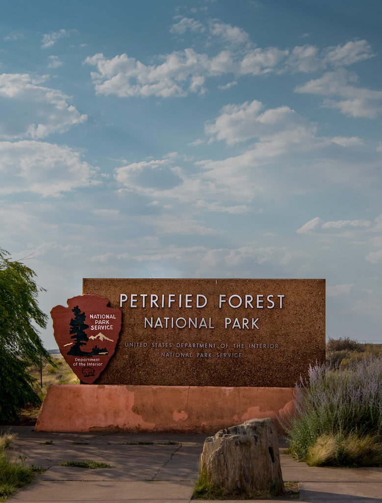 Sign to Petrified National Forest Arizona