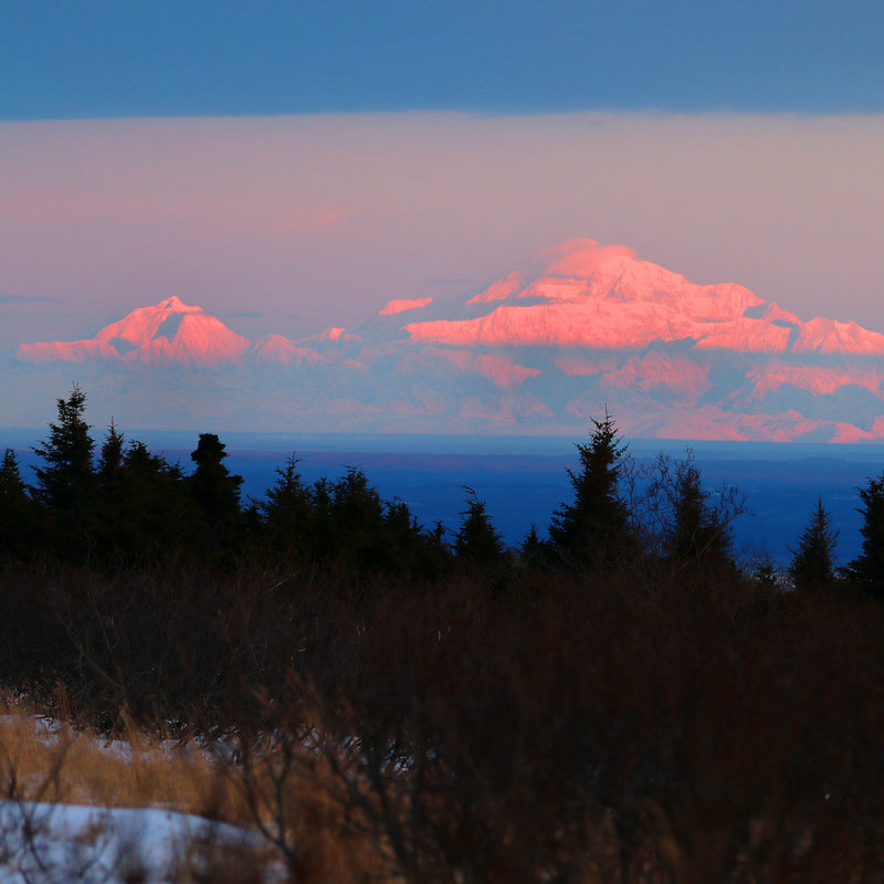 Silhouette of treeline and mountain range in Chugach State Park Alaska