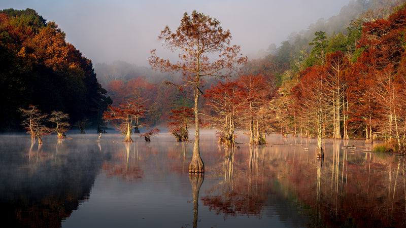View of Autumn Trees at Sunrise on Mountain Fork River in Beavers Bend State Park Oklahoma
