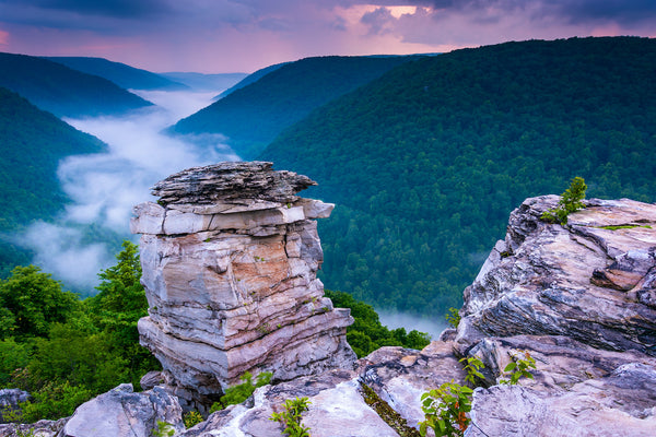 View of Fog Rising Through Black Water Canyon in Blackwater Falls State Park West Virginia