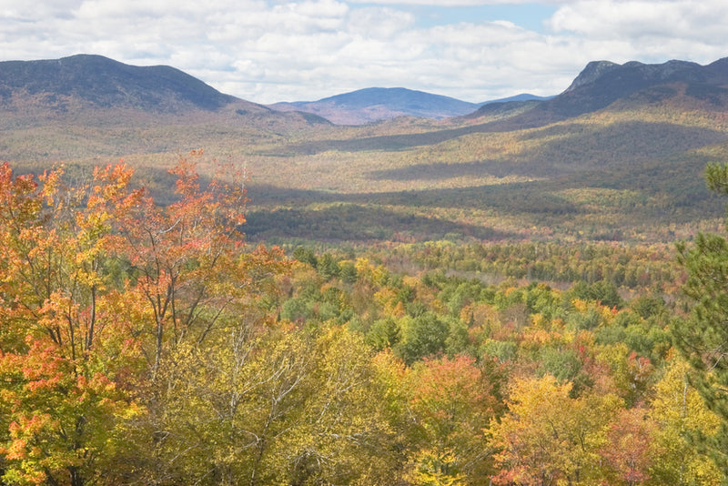View of Mountains in Autumn at Mount Blue State Park Maine