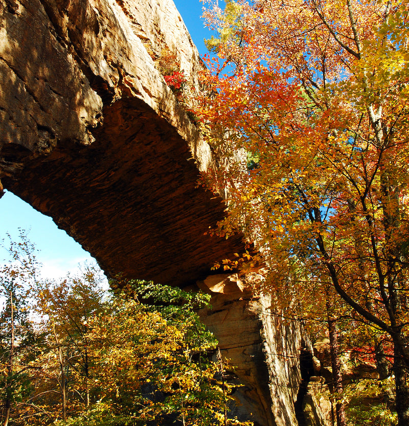 View of Natural Stone Bridge During Beautiful Autumn Day Natural Bridge State Resort Park Kentucky