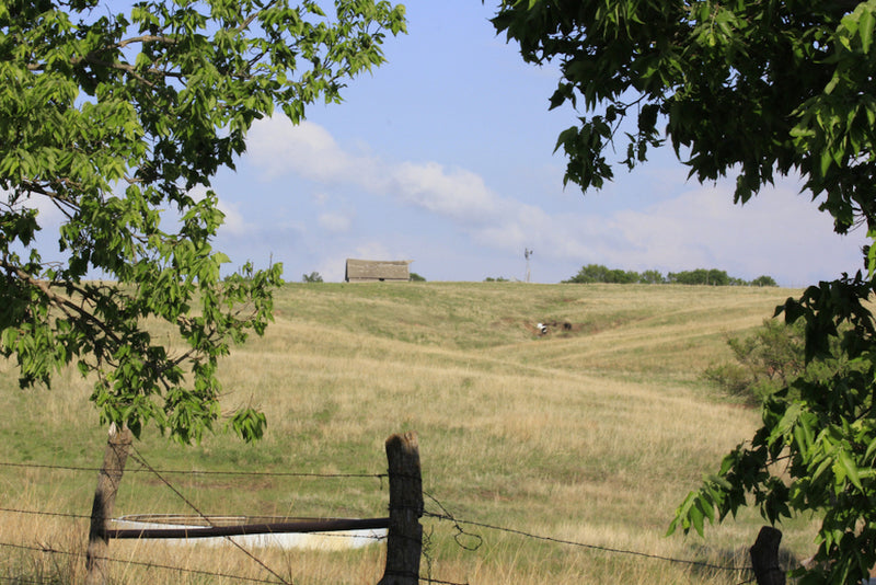 View of Pasture and Barn North of Kanopolis Lake State Park Kansas