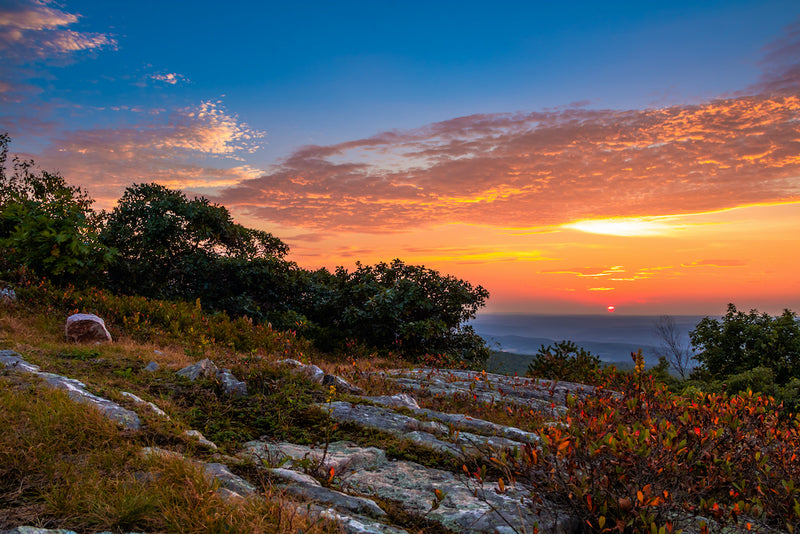View of Sunset With Blueberry Bushes and Granite Ground at High Point State Park New Jersey