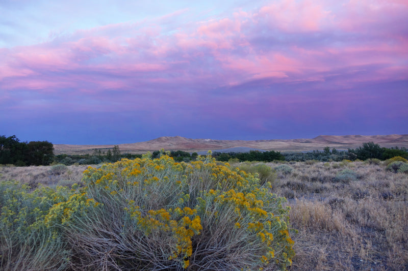 View of Sunset With Purple Skies at Bruneau Dunes State Park Idaho