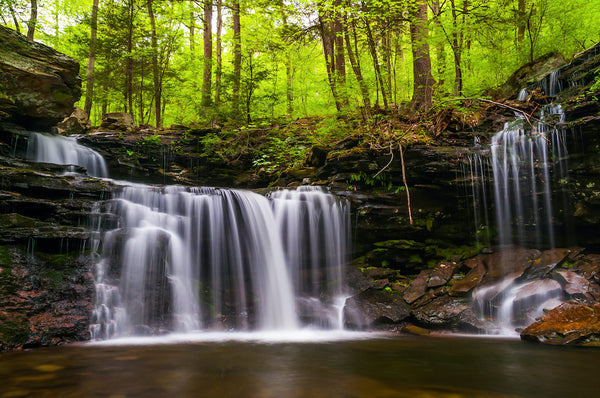 Waterfall on Kitchen Creek in Ricketts Glen State Park Pennsylvania