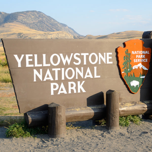 Yellowstone National Park sign with mountains in background