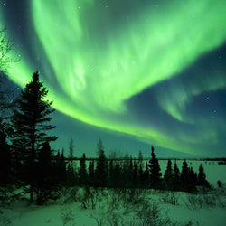 Aurora Borealis Northern Lights in Wapusk National Park in Manitoba, Canada