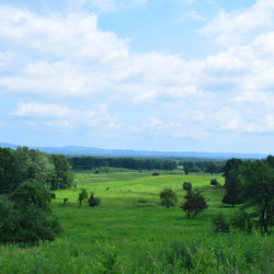 View overlooking Saratoga National Historical Park
